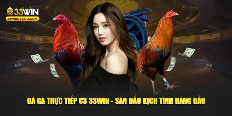 Đá gà trực tiếp C3 33win sàn đấu kịch tính hàng đầu