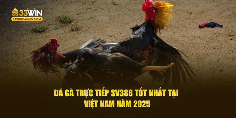 Đá gà trực tiếp Sv3888 tốt nhất Việt Nam năm 2025