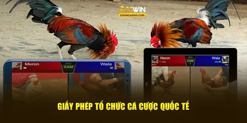 Giấy phép tổ chức cá cược chuẩn quốc tế