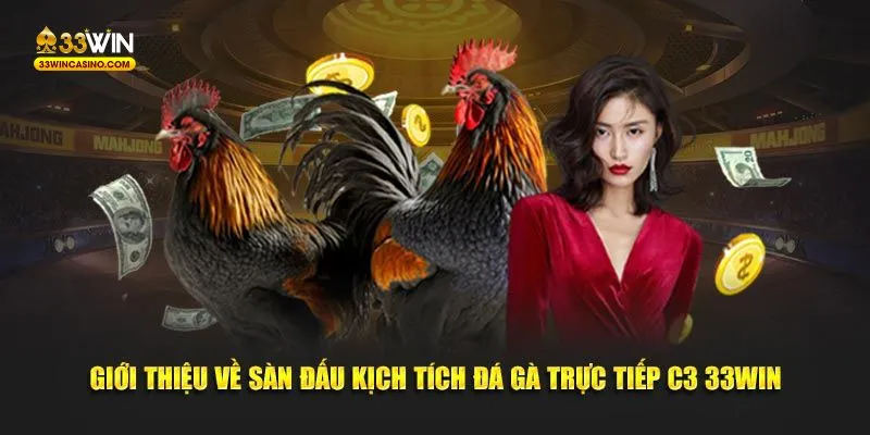 Giới thiệu về sàn đấu kịch tích đá gà trực tiếp C3 33win